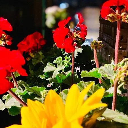 住宿加早餐酒店 Nacu 90 那不勒斯