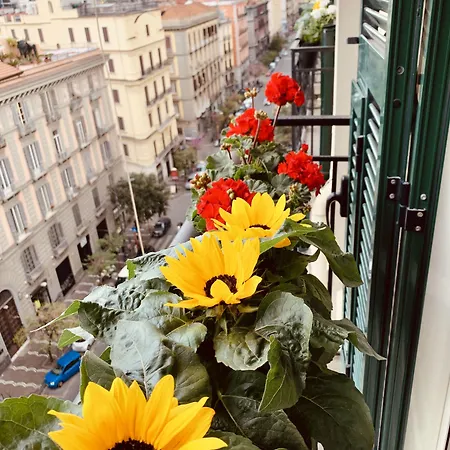 Nacu 90 住宿加早餐酒店 那不勒斯